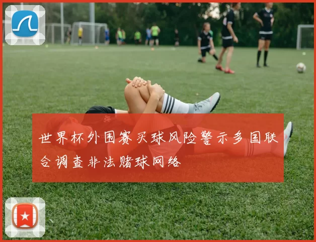 世界杯外围赛买球风险警示多国联合调查非法赌球网络