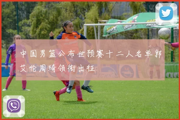 中国男篮公布世预赛十二人名单郭艾伦周琦领衔出征