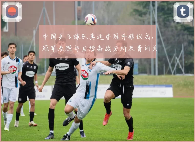 中国乒乓球队奥运夺冠升旗仪式，冠军表现与后续备战分析及青训关注点